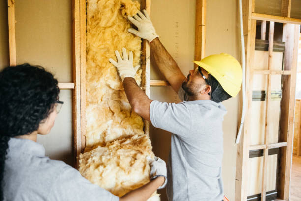 Best Insulation Removal Services  in Marquette Heights, IL